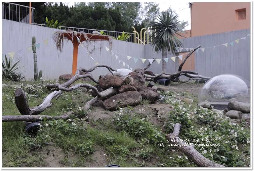 【新竹】新竹市立動物園