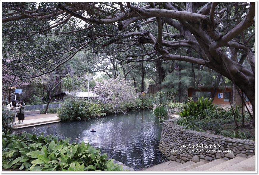 【新竹】新竹市立動物園
