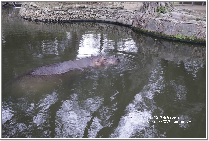 【新竹】新竹市立動物園