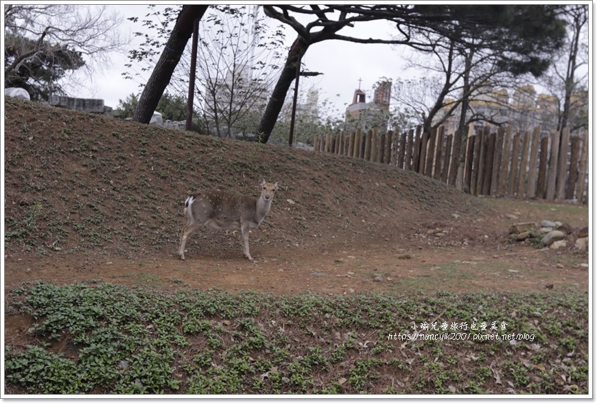 【新竹】新竹市立動物園