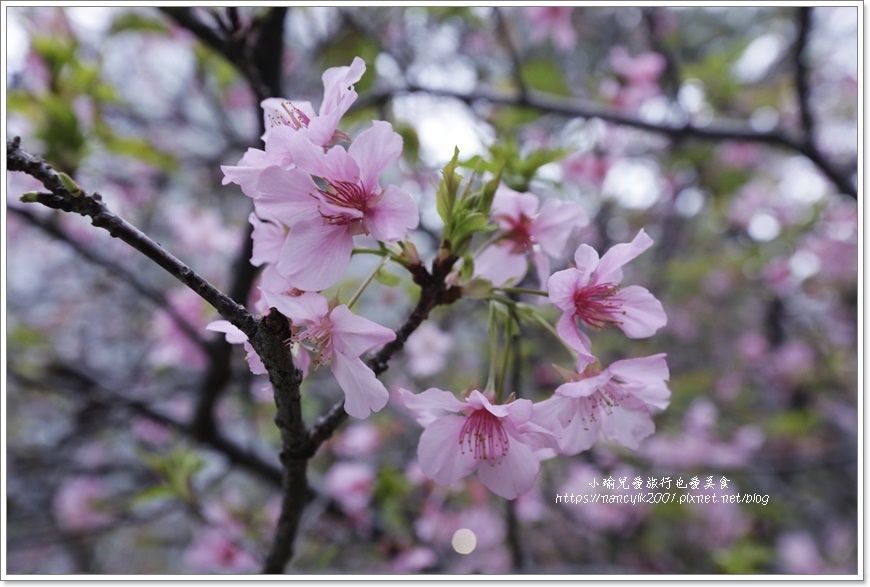 【新竹】新竹市立動物園