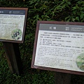 DSCF8966.jpg