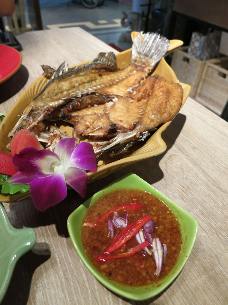 IMG_4967.JPG IMG_4967.JPG