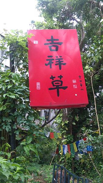 IMAG1381.jpg IMAG1381.jpg