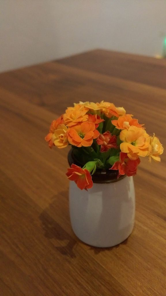 IMAG1540.jpg IMAG1540.jpg