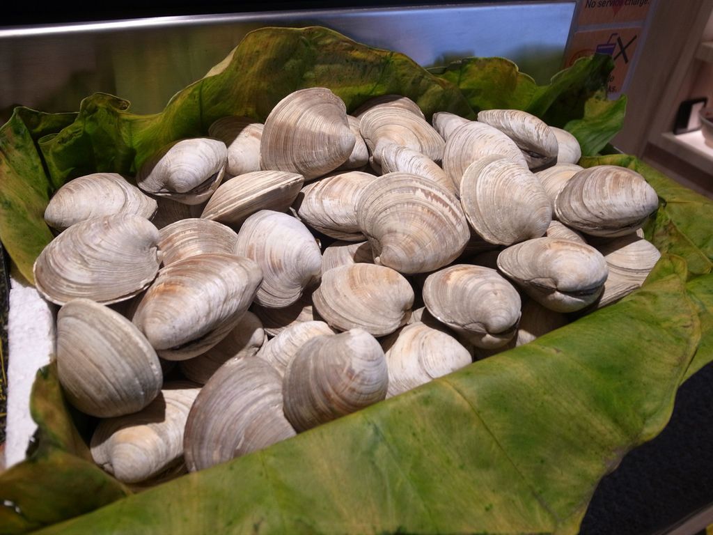 R0013685.JPG R0013685.JPG