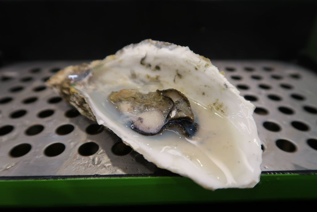 IMG_0085.JPG IMG_0085.JPG