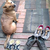 IMAG0413.jpg IMAG0413.jpg