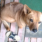 IMAG0420.jpg IMAG0420.jpg
