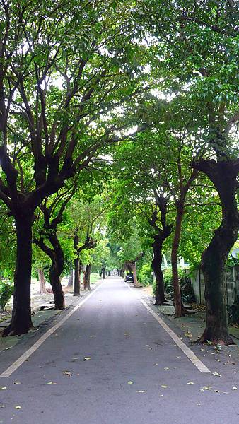 P1220258 P1220258