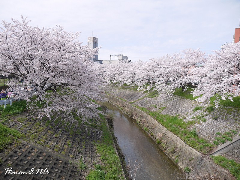 佐保川8.jpg