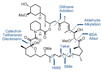 rapamycin_2.jpg