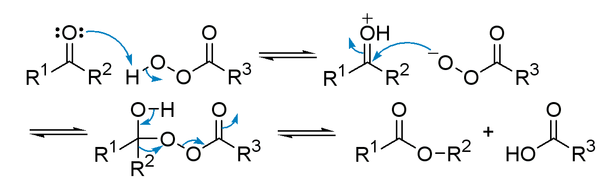 Baeyer-Villiger_oxidation_mechanism.png