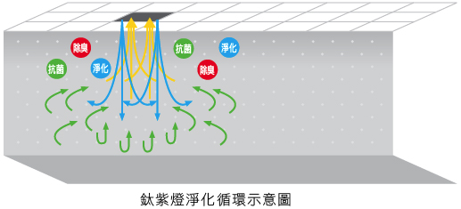 鈦紫燈淨化循環示意圖