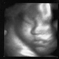 2005.8.12