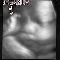 2005.8.12