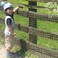 20090502 (3)