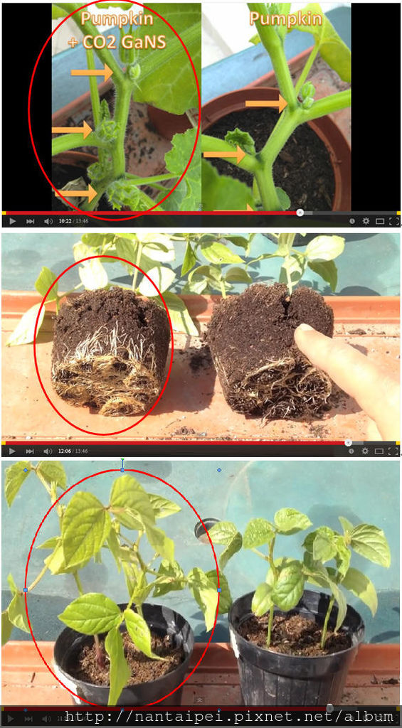 Co2甘斯實驗 植物 全球收集 甘斯奈米實驗室 凱史keshe 太空科技 等離子技術 痞客邦