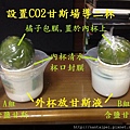 13.CO2甘斯實驗-水果設置.JPG