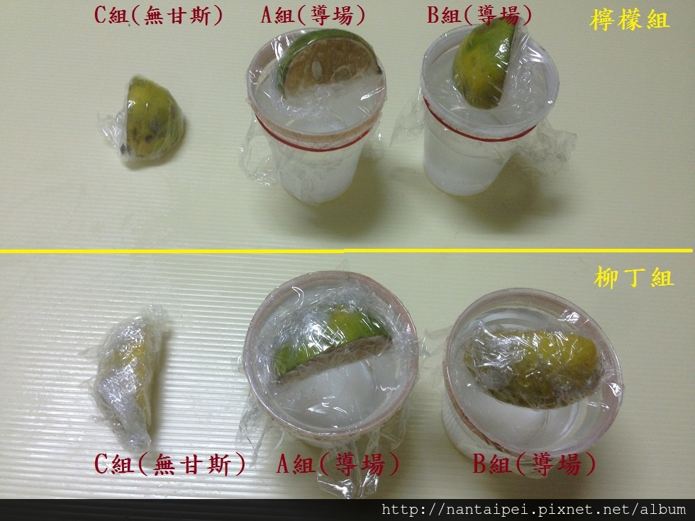 31.CO2甘斯實驗-水果改味.JPG