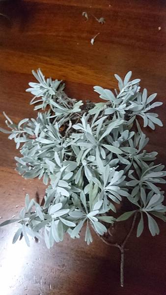 DSC_2528.JPG DSC_2528.JPG