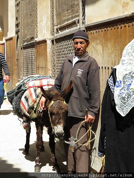 Man with His Donkey