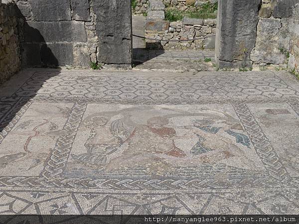 Mosaics Orpheus