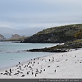 Beach on the other side of Carcass Island