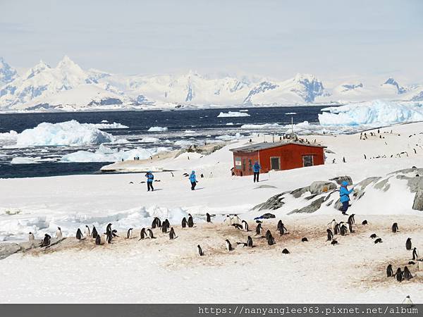 Argentine Refuge