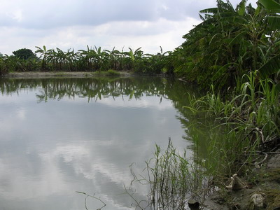 倒風內海遺蹟