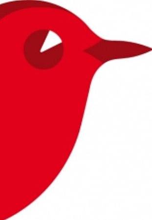 red bird.jpg