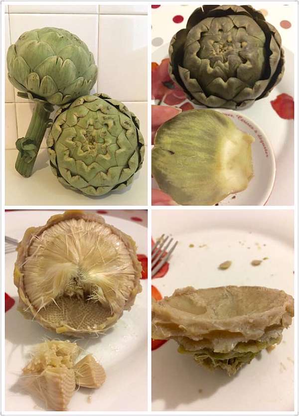 ❤Artichaut(Artichoke, 洋薊/朝鮮薊) 的烹飪及食用方式❤ 長得像花朵的奇妙蔬菜@ 李台妹的法國人妻生活:: 痞客邦::