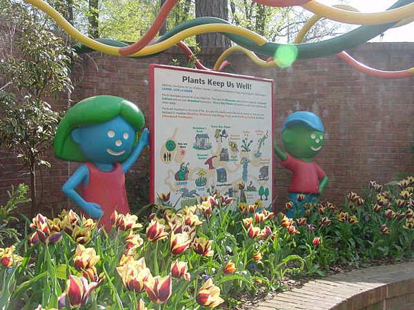 Children\'s garden