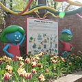 Children\'s garden