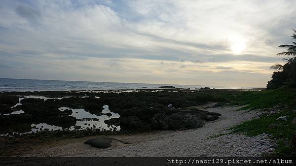 [親子旅遊] 屏東 萬里桐、海洋生物博物館、墾丁白沙灣海灘