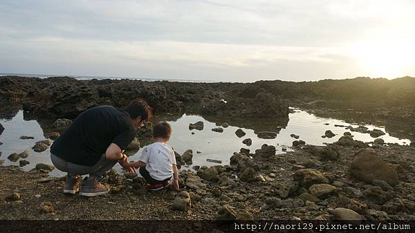 [親子旅遊] 屏東 萬里桐、海洋生物博物館、墾丁白沙灣海灘