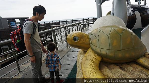 [親子旅遊] 屏東 萬里桐、海洋生物博物館、墾丁白沙灣海灘