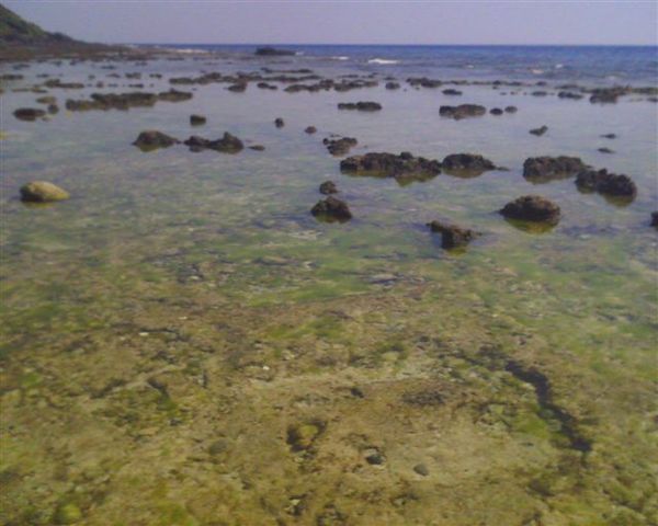 水面很透明直接可以看到很多海草