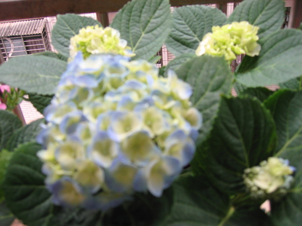 宜蘭 014.jpg 宜蘭 014.jpg