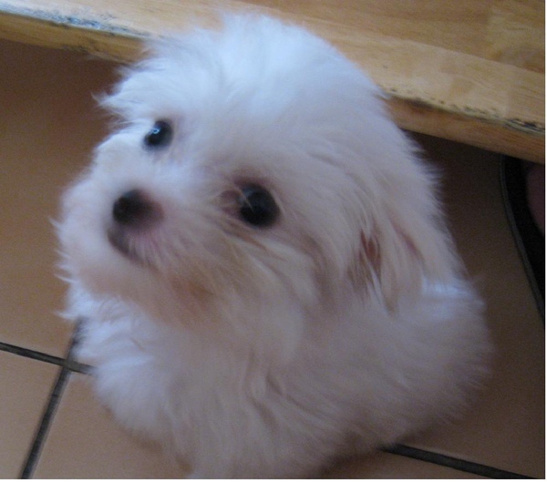 test.JPG test.JPG