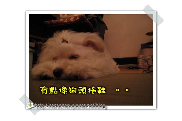 200900420 014(001).jpg 200900420 014(001).jpg