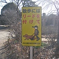 2010 Japan 516.jpg