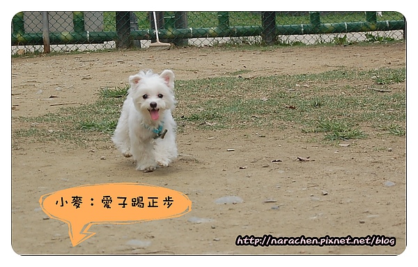 0407DSC_0288-crop.JPG 0407DSC_0288-crop.JPG