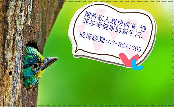 那可拿新生活教育中心-戒毒宣傳品