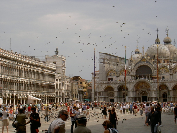 鴿群肆虐的Piazza San Marco