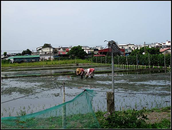 Ji'an, Hualien 0802-052010 236.jpg