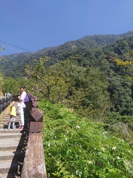 IMG_20211010_133858.jpg