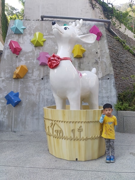 IMG_20211010_152643.jpg