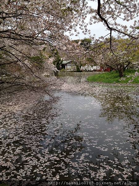 八幡宮旁