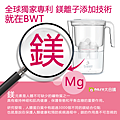 【BWT德國倍世】Mg2+鎂離子健康濾水壺 VIDA 2.6L(1壺1芯)